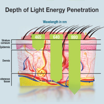 CELLUMA : Parlons de LED