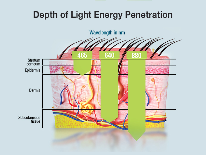La Biophotonique Lu Luminoth rapie Basse Intensit 