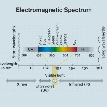 Eclairons-nous sur la différence de Celluma.